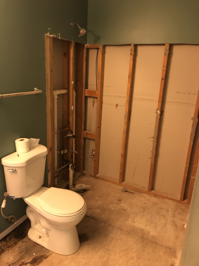 Bathroom during demolition with exposed framing